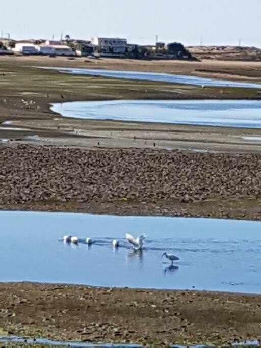 Ria Formosa Pineview Villa FAO Dış mekan fotoğraf