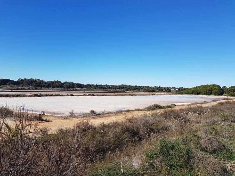 Ria Formosa Pineview Villa FAO Dış mekan fotoğraf