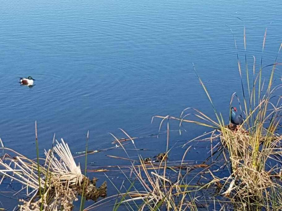 Ria Formosa Pineview Villa FAO Dış mekan fotoğraf